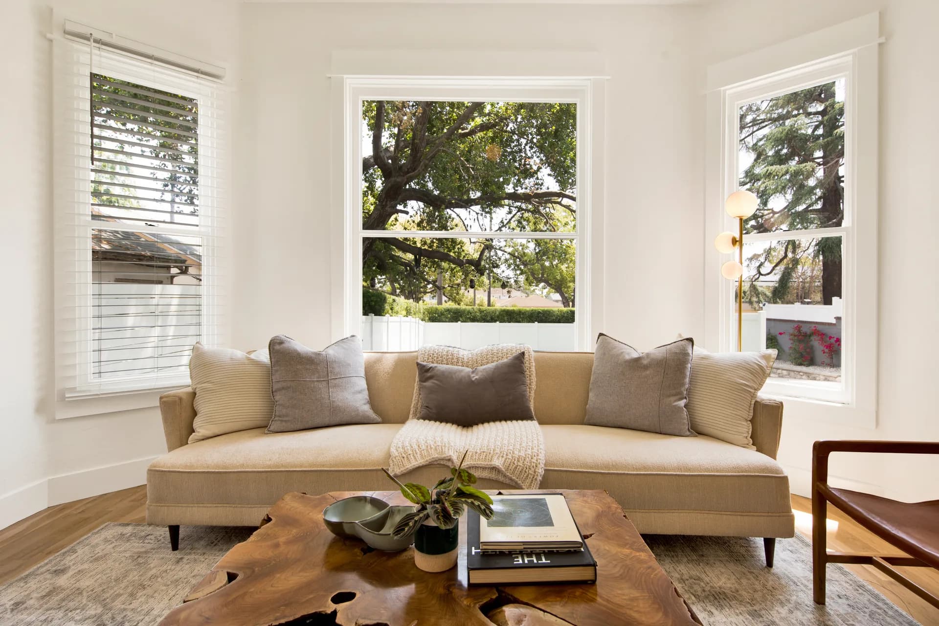 Compassionate Guidance,